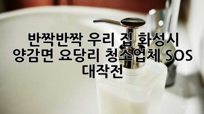 ✨ 반짝반짝 우리 집! 화성시 양감면 요당리 청소업체 SOS 대작전 🚨